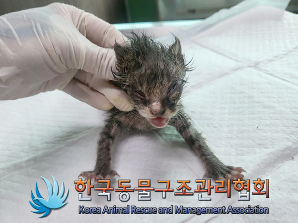 종료(자연사) 한국…